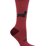 Medias M St Dachsund Pink Mujer 1